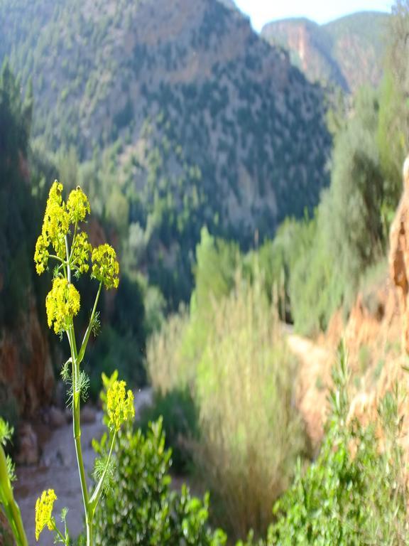 Riad Cascades D'Узуд Екстериор снимка