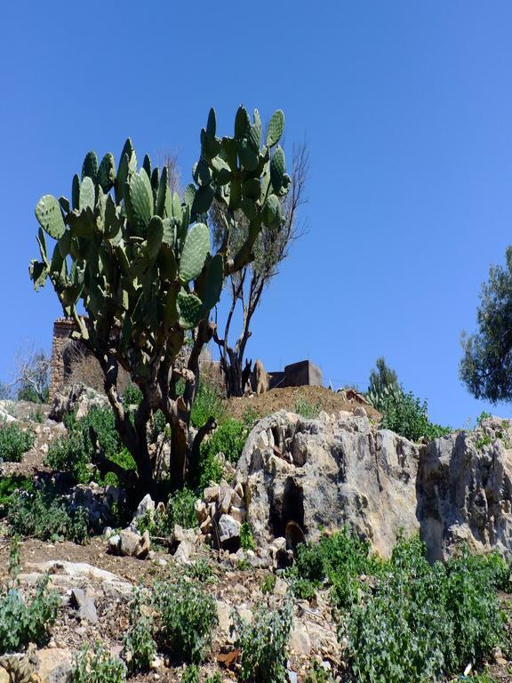 Riad Cascades D'Узуд Екстериор снимка