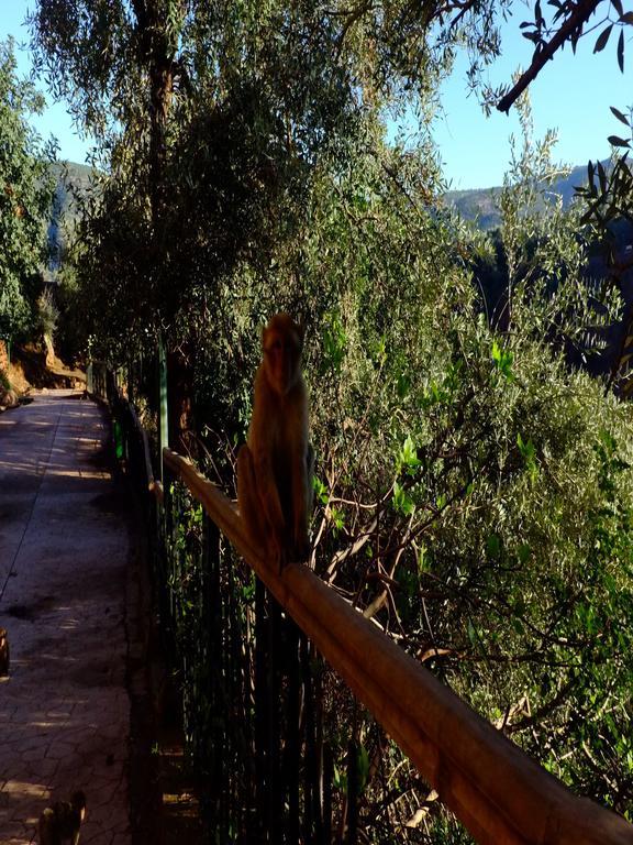 Riad Cascades D'Узуд Екстериор снимка